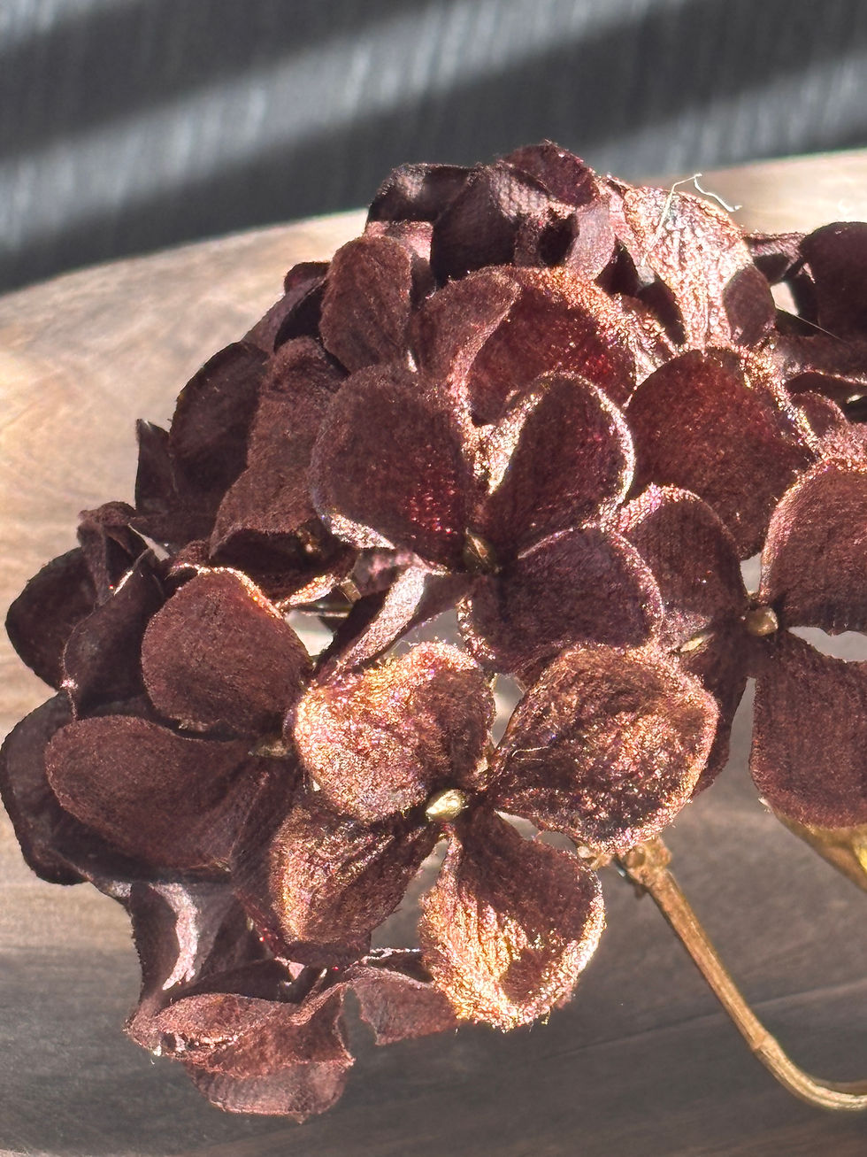 Thumbnail: Kunsttak Velvet Hydrangea | Dark Brown & Gold – 85 cm