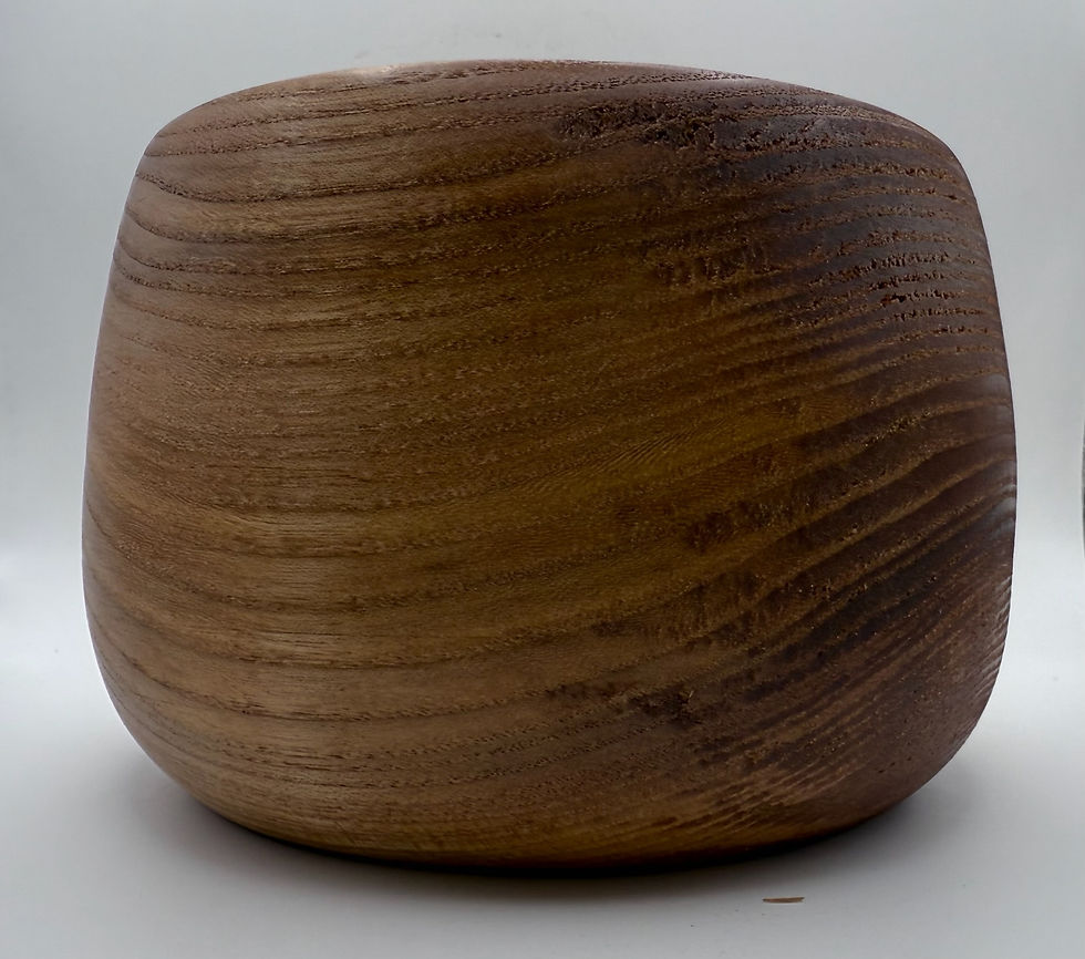 Thumbnail: Red Elm