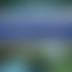 Traditional Lymphatic Drainage Massage Vs Trillium's Approach.