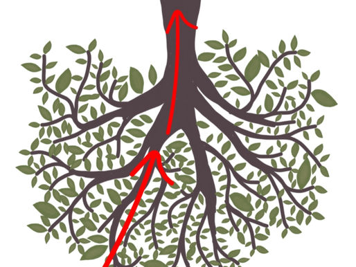 Lymph Flow Is Physics: How and Where Blocks Occur