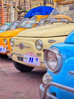 2eMeeting FIAT 500 MC-02 at 14.29.15.jpeg