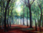 Stanmer woods 4