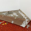 Carpet Removal.jpg