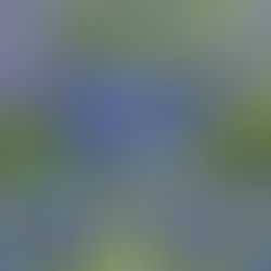 2021 chapbook competition now open!