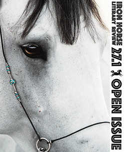 27.1 Open Issue Front Cover.jpg