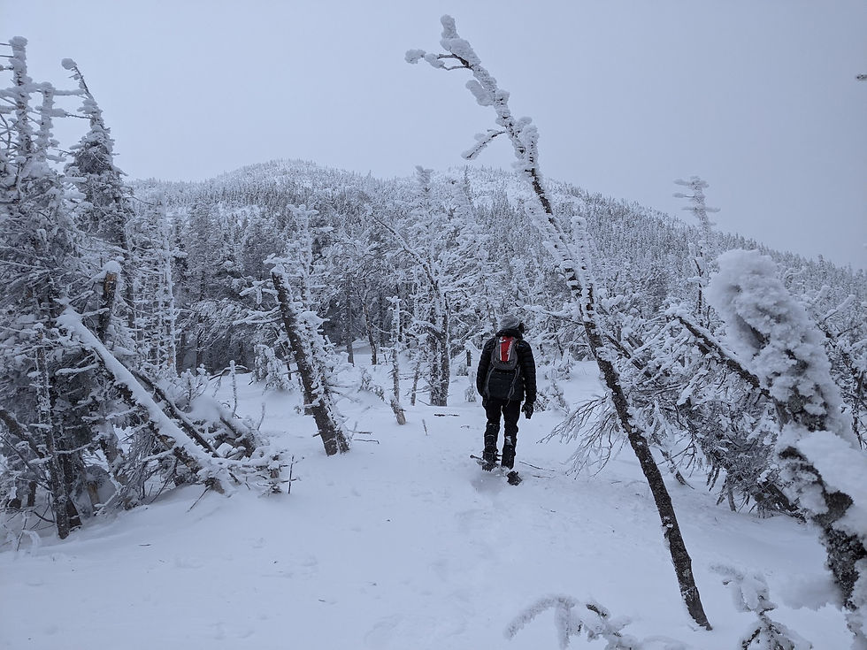 Santanoni Mountain