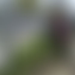 Hiking the Camino de Santiago