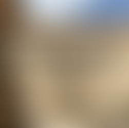 West Texas, Big Bend, and the Border Crisis: Day 21-25