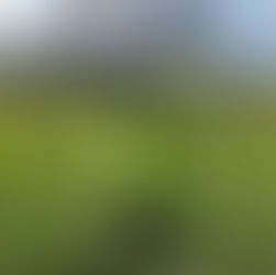 Why I Quit My Ph.D. Program and Chose to Bike Across the Country