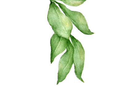 Leaves 4_edited.png