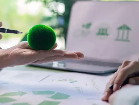 Arquitectura Residencial Sustentable en Querétaro: Un Futuro Verde