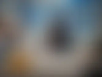 Project Management in Construction: Strategic Consulting for Foreign Companies in Mexico