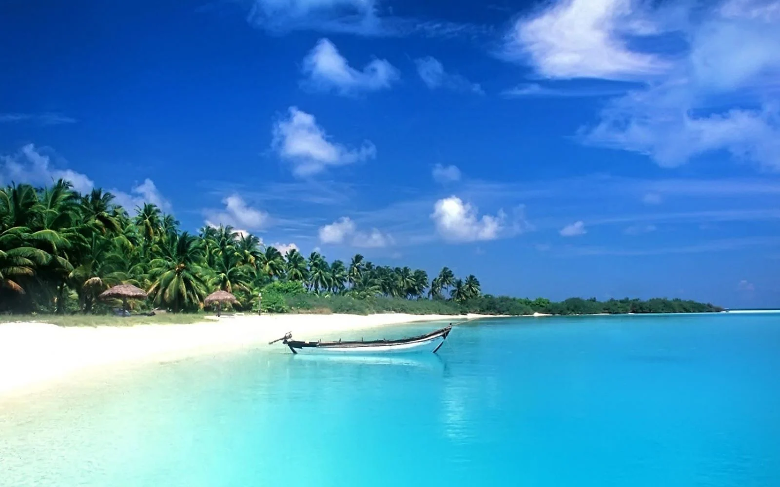 7505329.webp