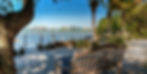 Sarasota Bay through oak tree