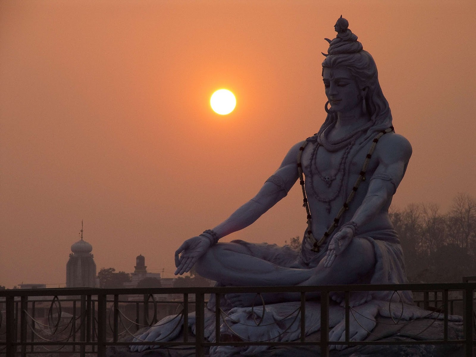 light on life iyengar light on life iyengar
