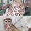 Thumbnail: Pair Watercolor Paintings - Hawk and Owl - by Susan de Picciotto