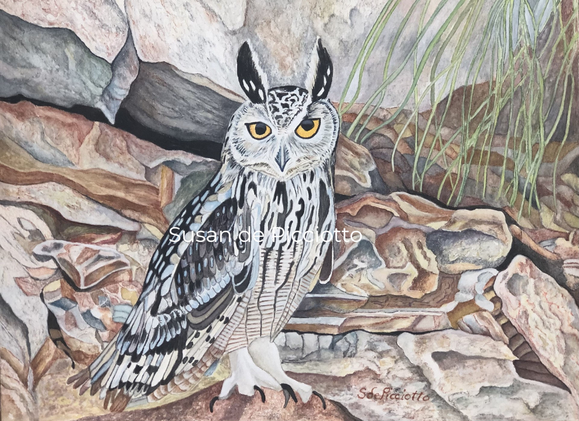 Rock Eagle Owl Watercolor Painting by Susan de Picciotto