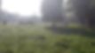 20170520_074251.jpg