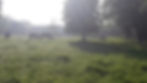 20170520_074251.jpg