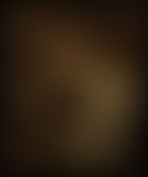 'The Sense of Sight' by Master of the Annunciation to the Shepherds, early 17th century.