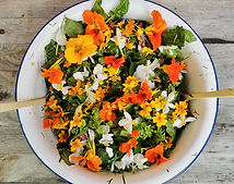 IMG_20220911_140314 (2).jpeg