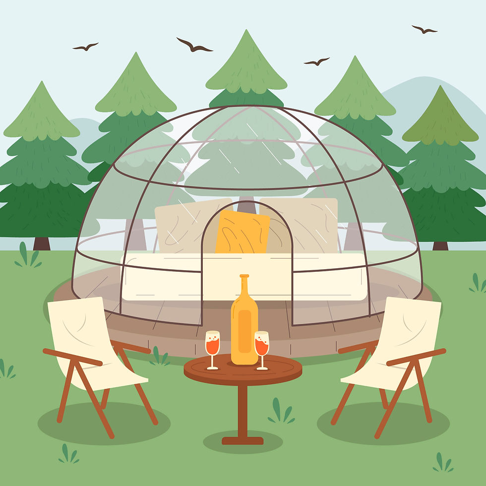 Two chairs and a table with a bottle and glasses in front of a transparent dome. Pine trees and birds in the background. Relaxing mood.