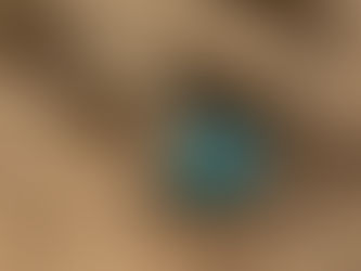 Where do kingfishers nest? Distribution of the Blue-Breasted Kingfisher