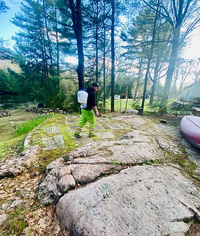 tree removal kawartha lakes, north simcoe, muskoka