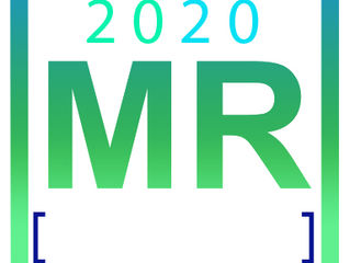 2020 MR SAFETY Sticker