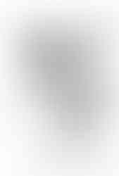 Original Drawing 2020 ( pen)