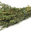 Miniature : Absinthe sauvage  (الشيح) Artemisia annua