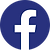 Facebook_Lions BLUE