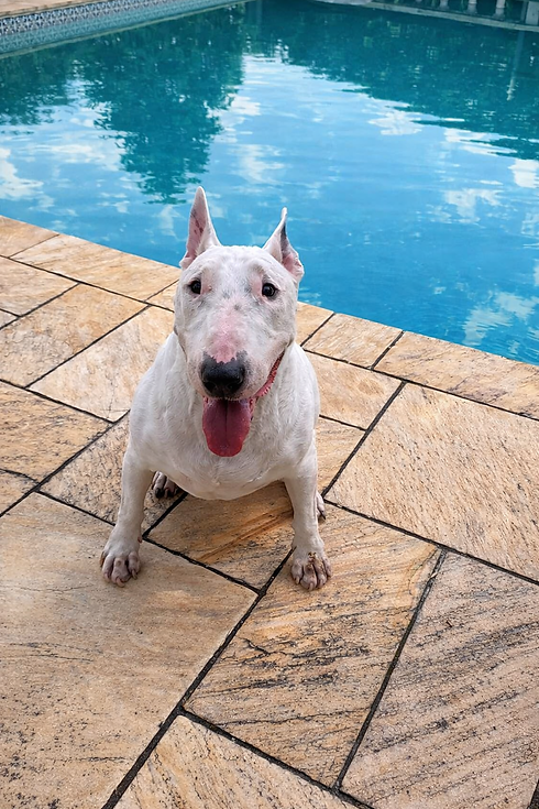 ChatGPT Image 30 de dez. de 2025, 00_22_15.png