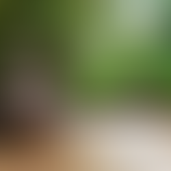 【2026年最新】ホーチミン メコン川クルーズ完全ガイド！ツアー料金・時間・現地情報など失敗しない選び方をご紹介