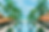 來源：Furama Resort Danang