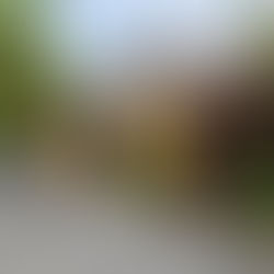 【2026】ダナンからホイアンへの移動完全ガイド！最安・最速の行き方5選