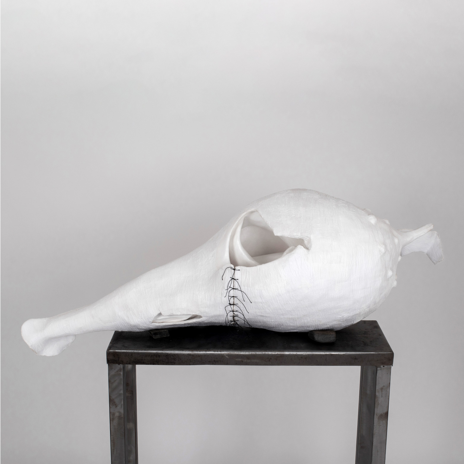 servicios de fotografía cks