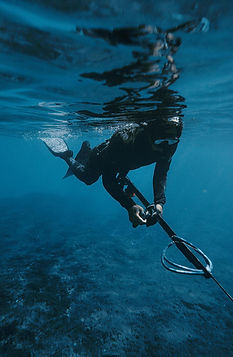 Spearfishing.jpg