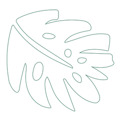 FOLHA CONTORNO.png