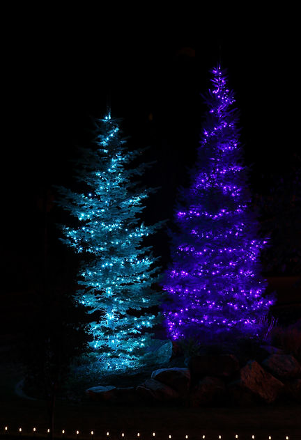 IMG_1844.jpg
