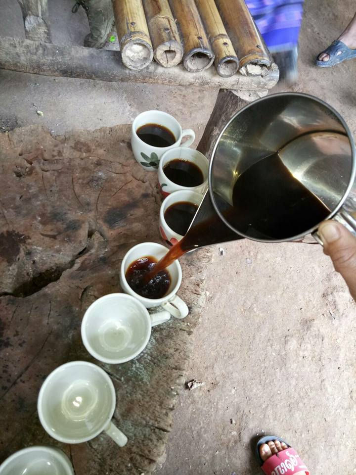 Fresh coffee farm tasting