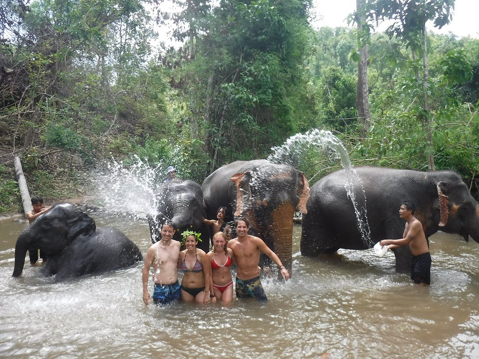 Enjoying bathing elephant