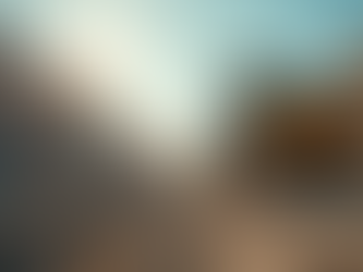 Florida Contractor Licensing Process: Becoming a Licensed Contractor in Florida