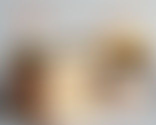 The Ultimate Guide to Florida General Contractor Exam Books for 2026