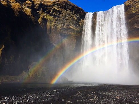 Quicker IP Law Rainbow