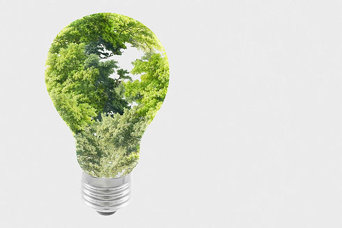 sustainable-energy-campaign-tree-light-bulb-media-remix.jpg