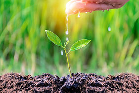 Business Growth concept.Continued of investment and profitability.The hands that are water