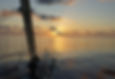 Darwin Indo leg sunset