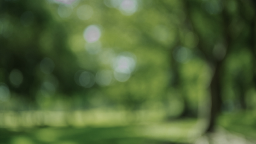 Val Alino - Hero Banner BG.png