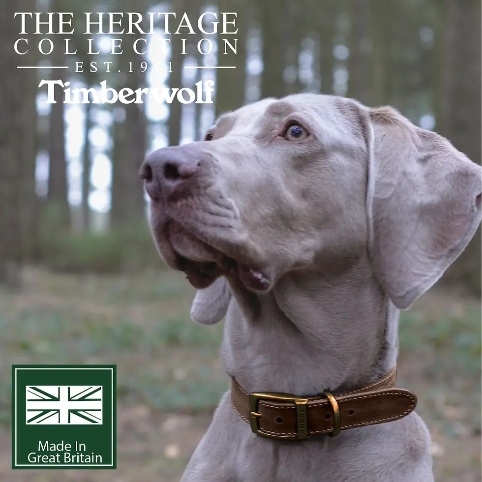 Thumbnail: Timberwolf Leather Collar